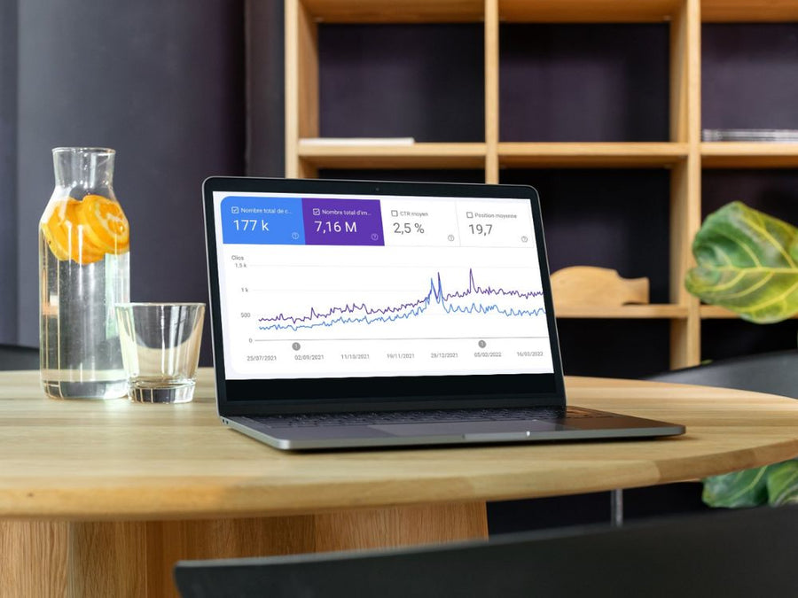 Visuel Expert SEO • Max COSTA